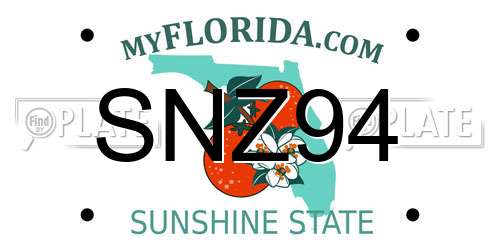 SNZ94 Florida License Plate