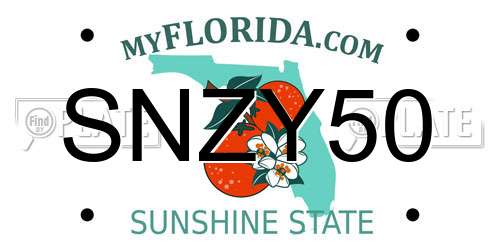 SNZY50 Florida License Plate