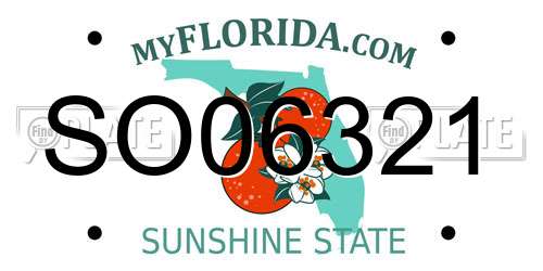 SO06321 Florida License Plate