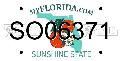 SO06371 Florida License Plate