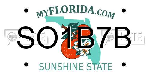 SO1B7B Florida License Plate