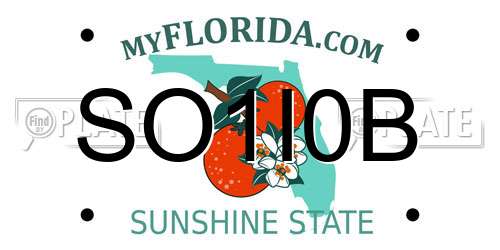 SO1I0B Florida License Plate
