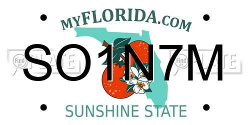 SO1N7M Florida License Plate