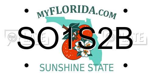 SO1S2B Florida License Plate