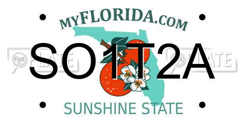 SO1T2A Florida License Plate