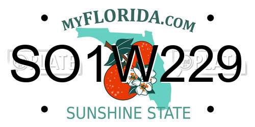 SO1W229 Florida License Plate
