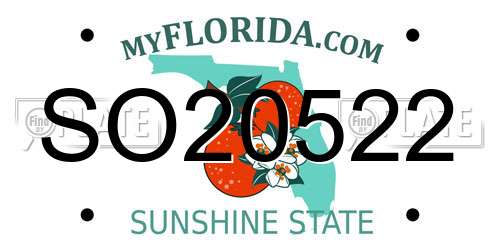SO20522 Florida License Plate