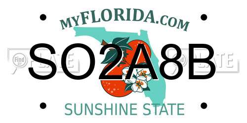SO2A8B Florida License Plate