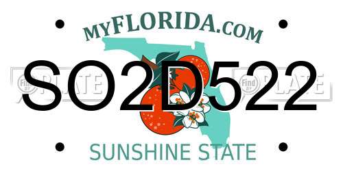 SO2D522 Florida License Plate
