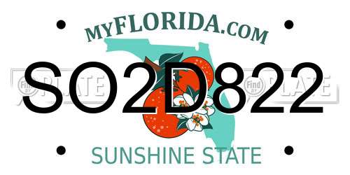 SO2D822 Florida License Plate