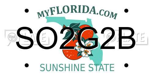 SO2G2B Florida License Plate