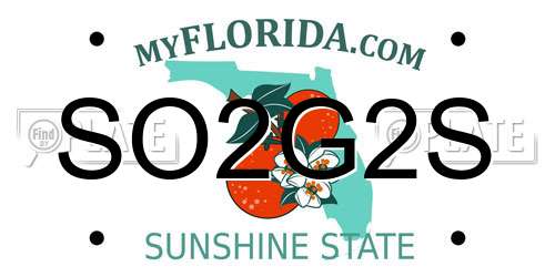 SO2G2S Florida License Plate