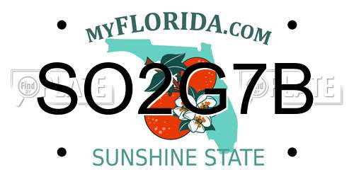 SO2G7B Florida License Plate