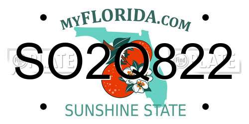 SO2Q822 Florida License Plate