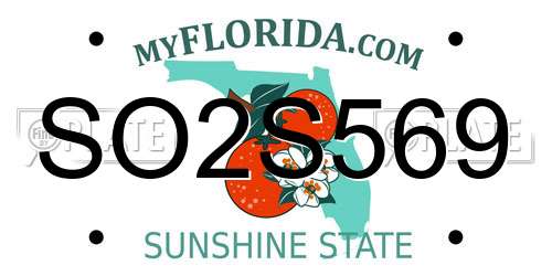 SO2S569 Florida License Plate