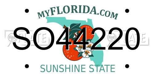 SO44220 Florida License Plate