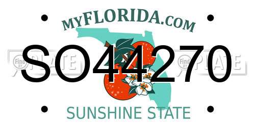 SO44270 Florida License Plate