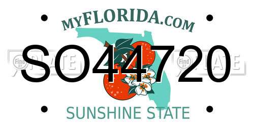 SO44720 Florida License Plate
