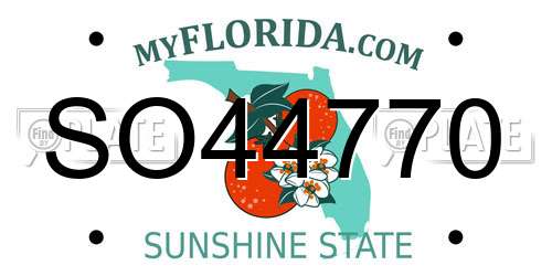 SO44770 Florida License Plate