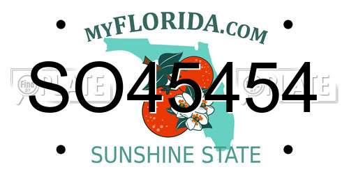 SO45454 Florida License Plate