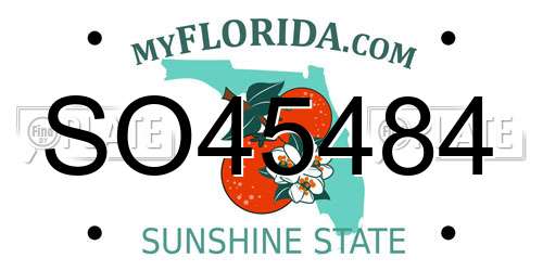 SO45484 Florida License Plate