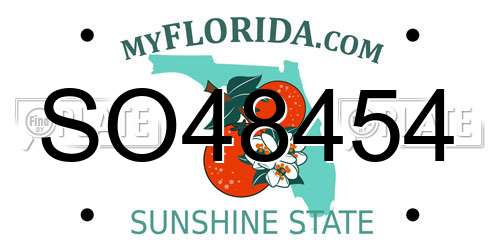 SO48454 Florida License Plate