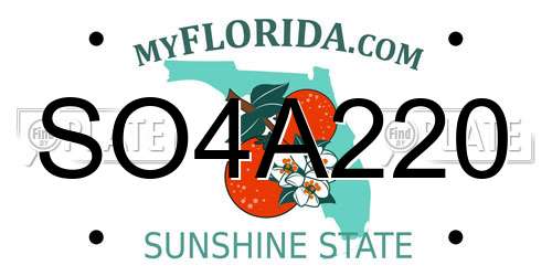 SO4A220 Florida License Plate