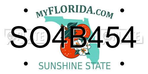 SO4B454 Florida License Plate
