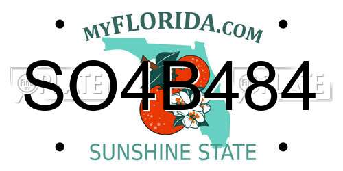 SO4B484 Florida License Plate