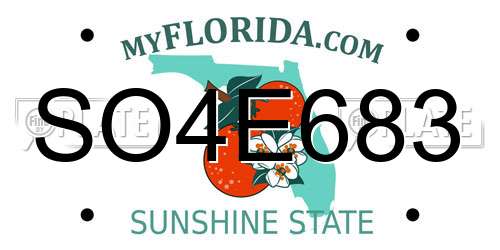 SO4E683 Florida License Plate