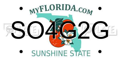 SO4G2G Florida License Plate