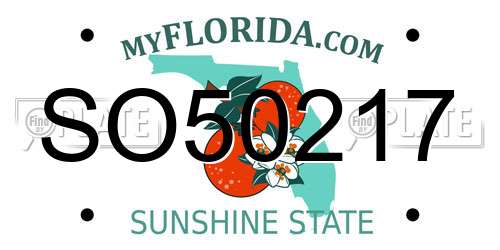 SO50217 Florida License Plate