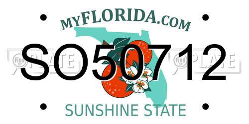 SO50712 Florida License Plate