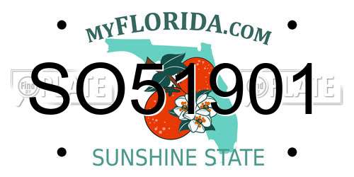 SO51901 Florida License Plate