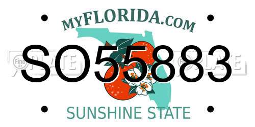 SO55883 Florida License Plate