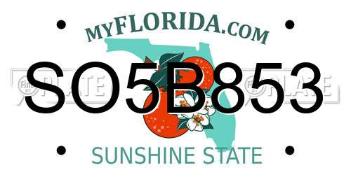 SO5B853 Florida License Plate