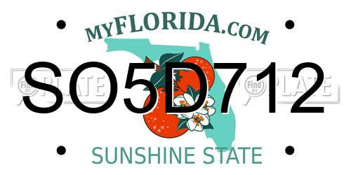 SO5D712 Florida License Plate
