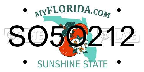 SO5O212 Florida License Plate