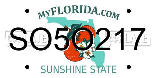 SO5O217 Florida License Plate