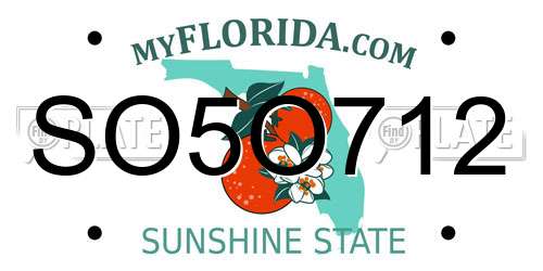SO5O712 Florida License Plate