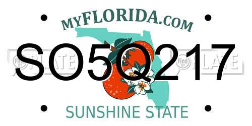 SO5Q217 Florida License Plate