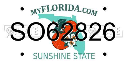 SO62826 Florida License Plate