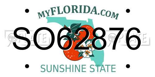 SO62876 Florida License Plate