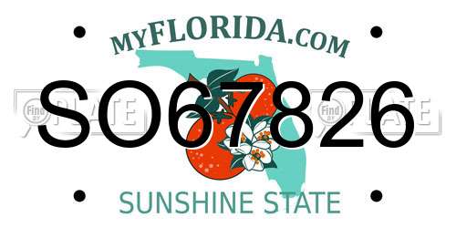 SO67826 Florida License Plate