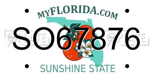 SO67876 Florida License Plate