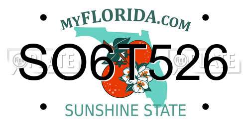 SO6T526 Florida License Plate