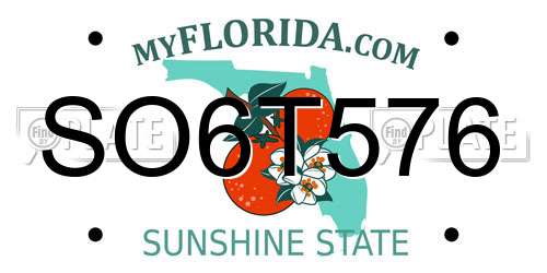 SO6T576 Florida License Plate