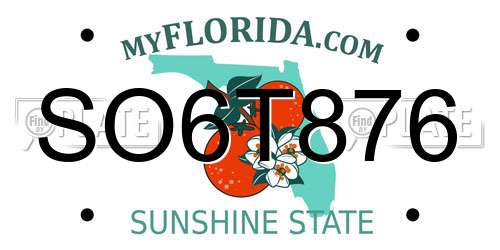 SO6T876 Florida License Plate