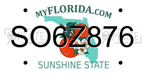 SO6Z876 Florida License Plate
