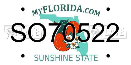 SO70522 Florida License Plate